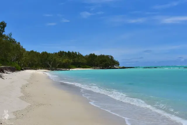 Ile aux Cerfs