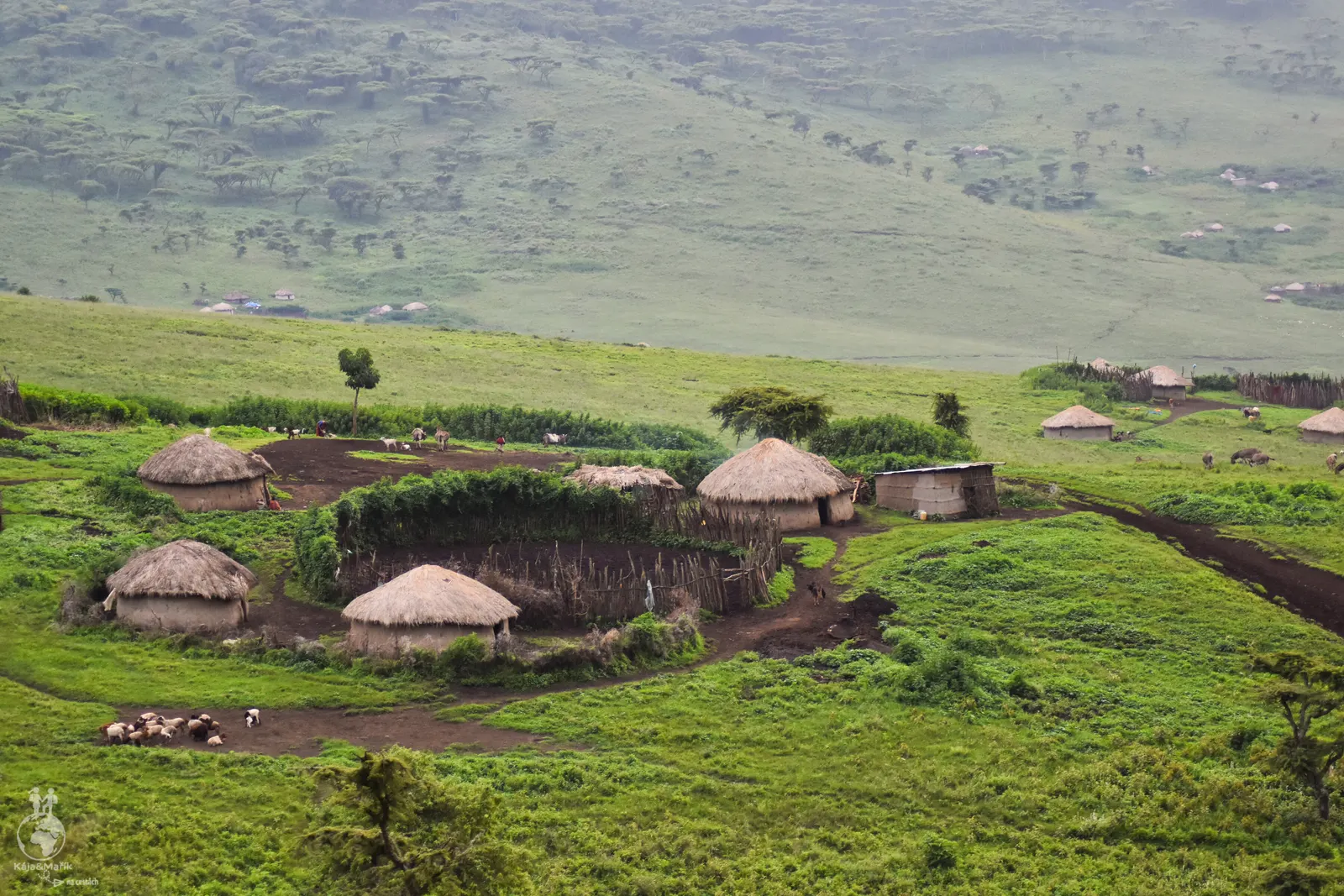 Vesnička v kráteru Ngorongoro