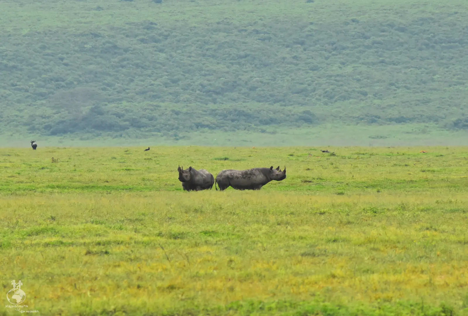 NP Ngorongoro