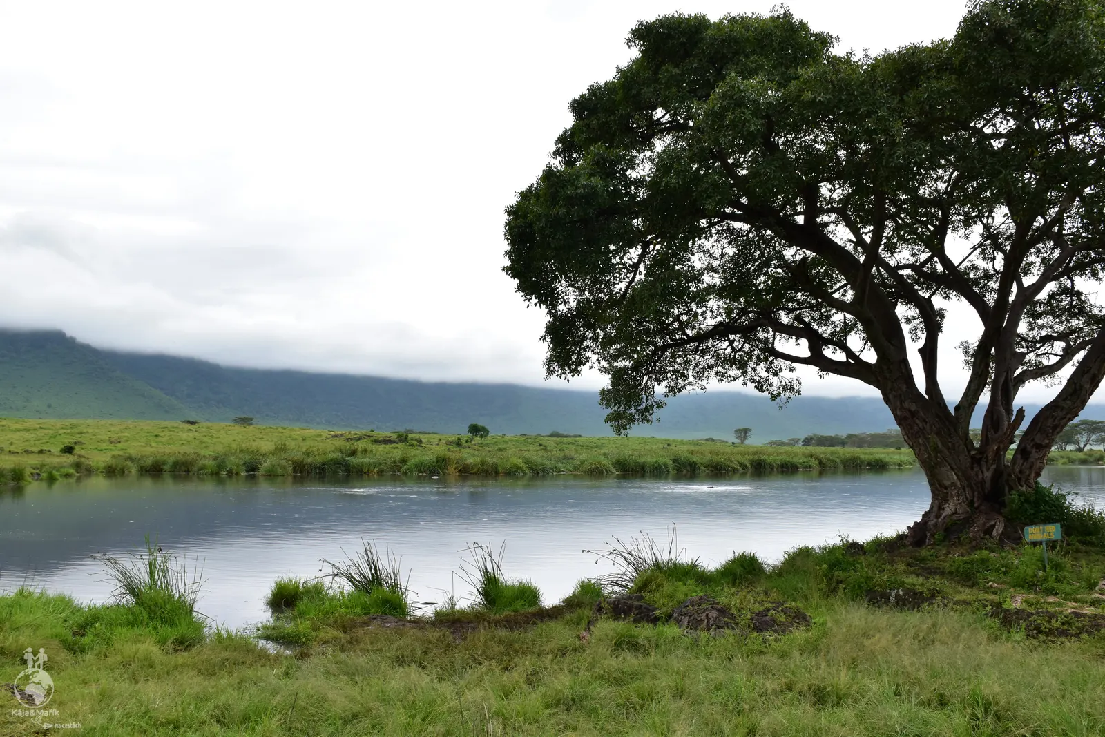 NP Ngorongoro