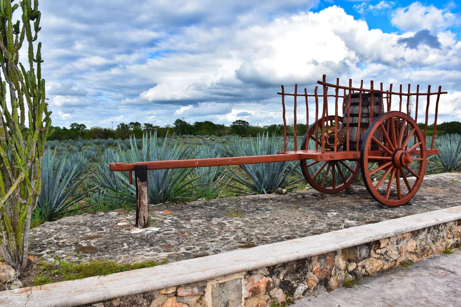 Destilería Artesanal de Agave Mayapán