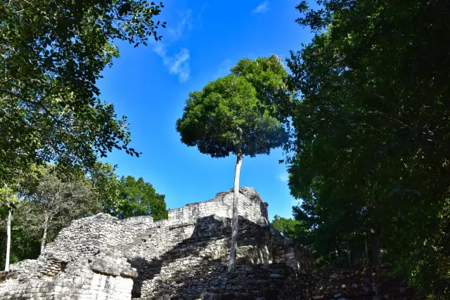 Mexiko – fotka 11