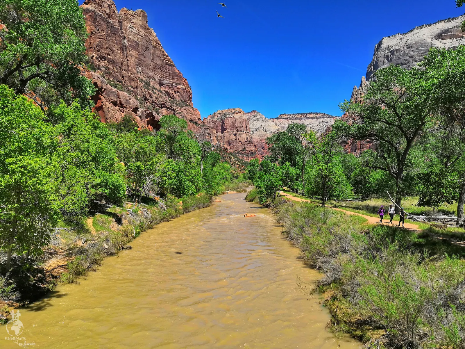 Riverside Walk Zion