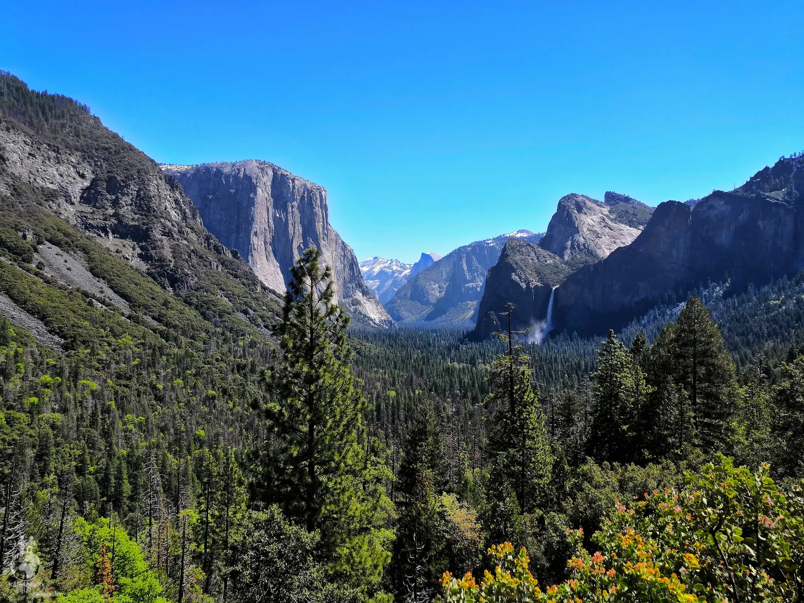 Yosemite National Park - v pozadí Half Dome