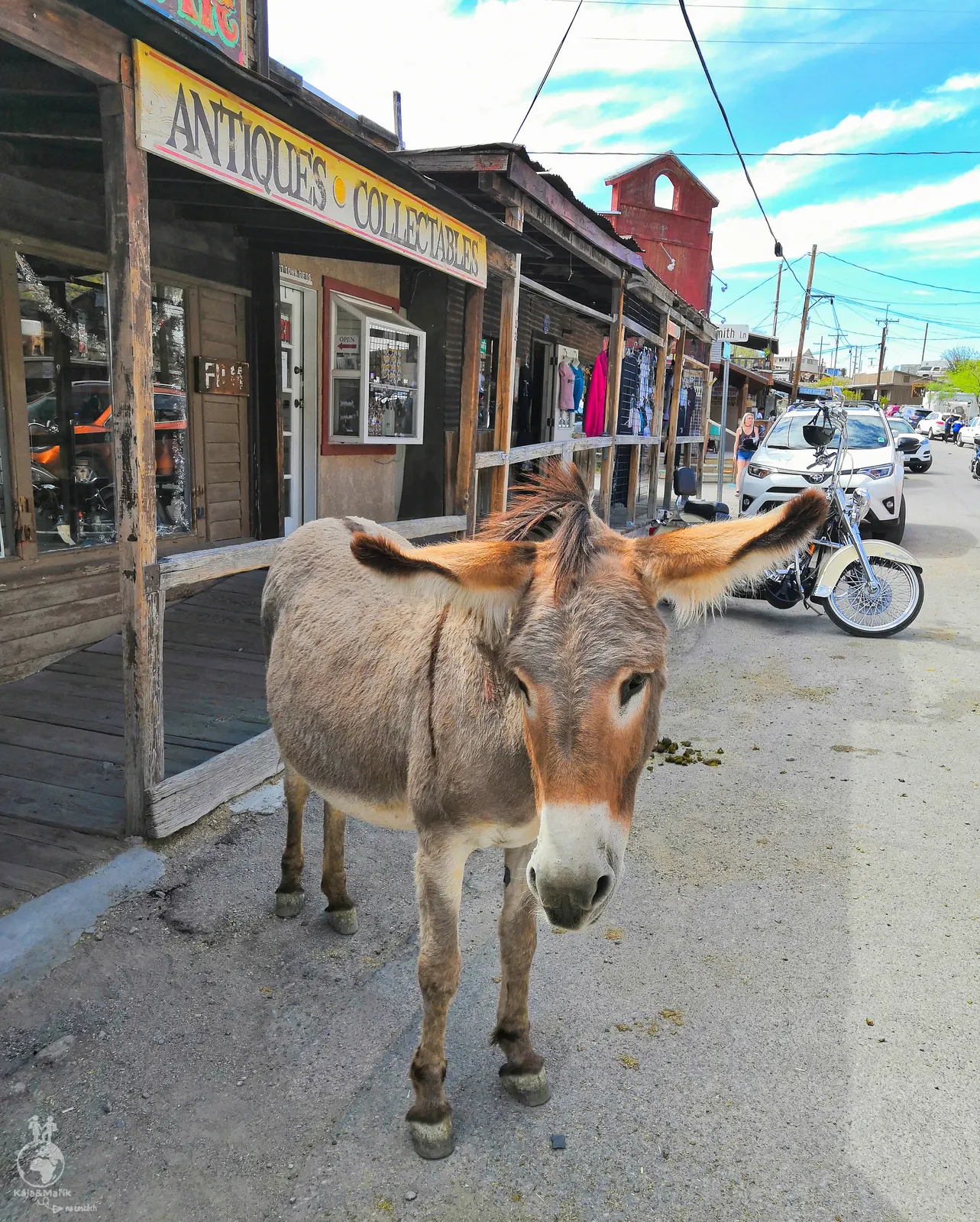 Oslíci ve městečku Oatman