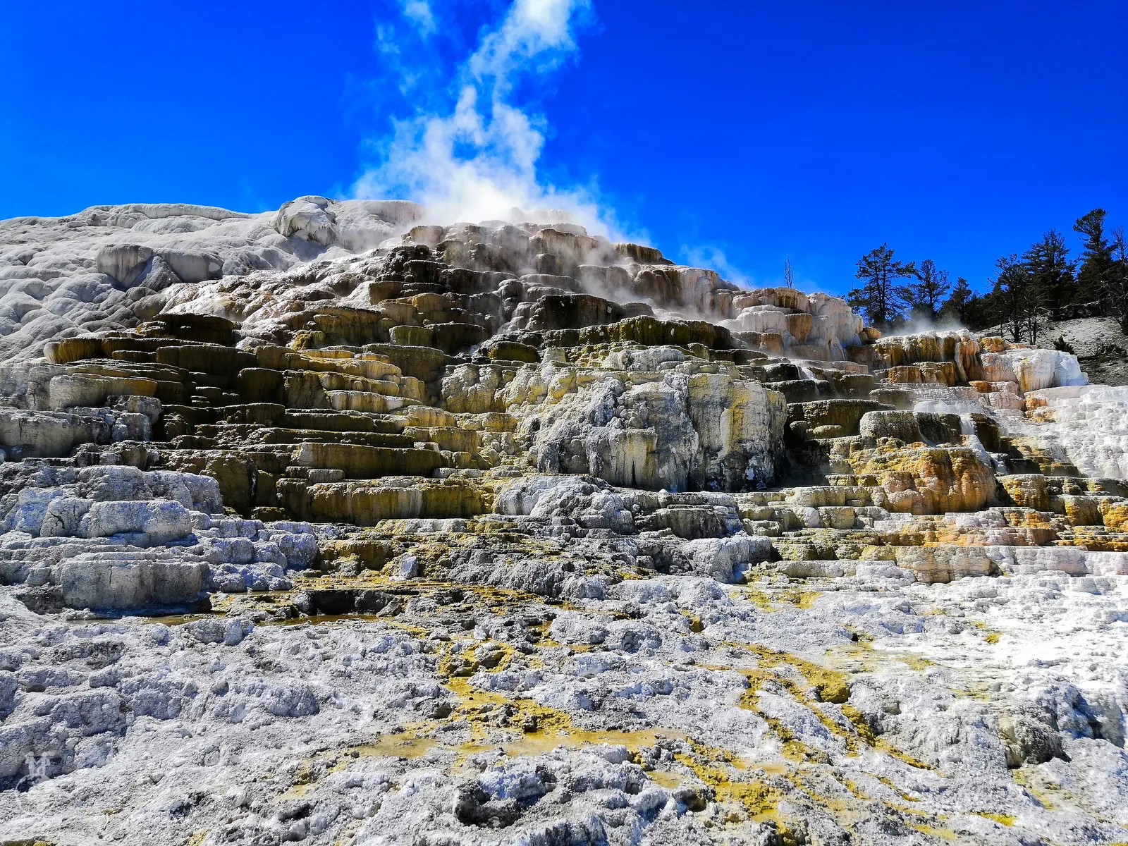 Mammoth Hot Springs
