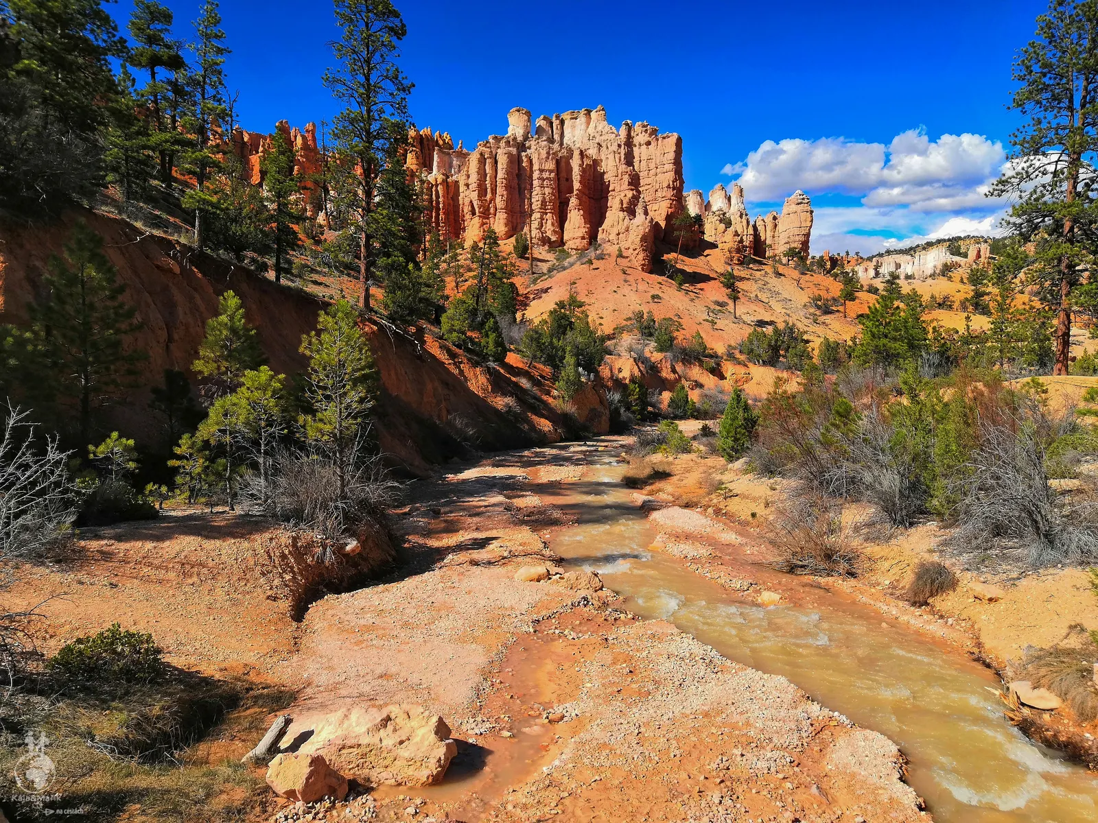 Mossy Cave Trail