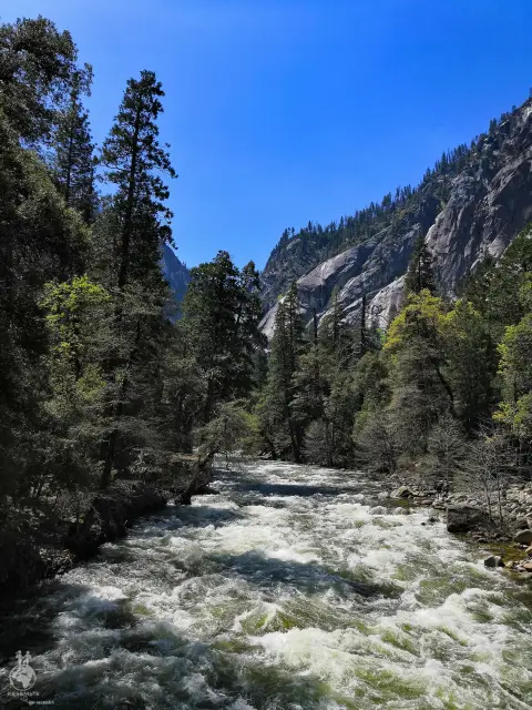 Yosemite National Park