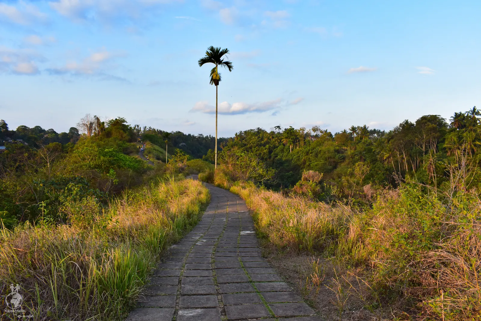 Campuhan Ridge Walk