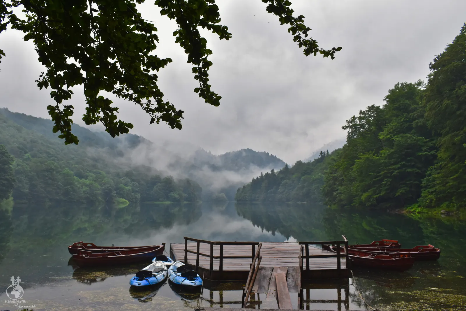 Biogradska Gora