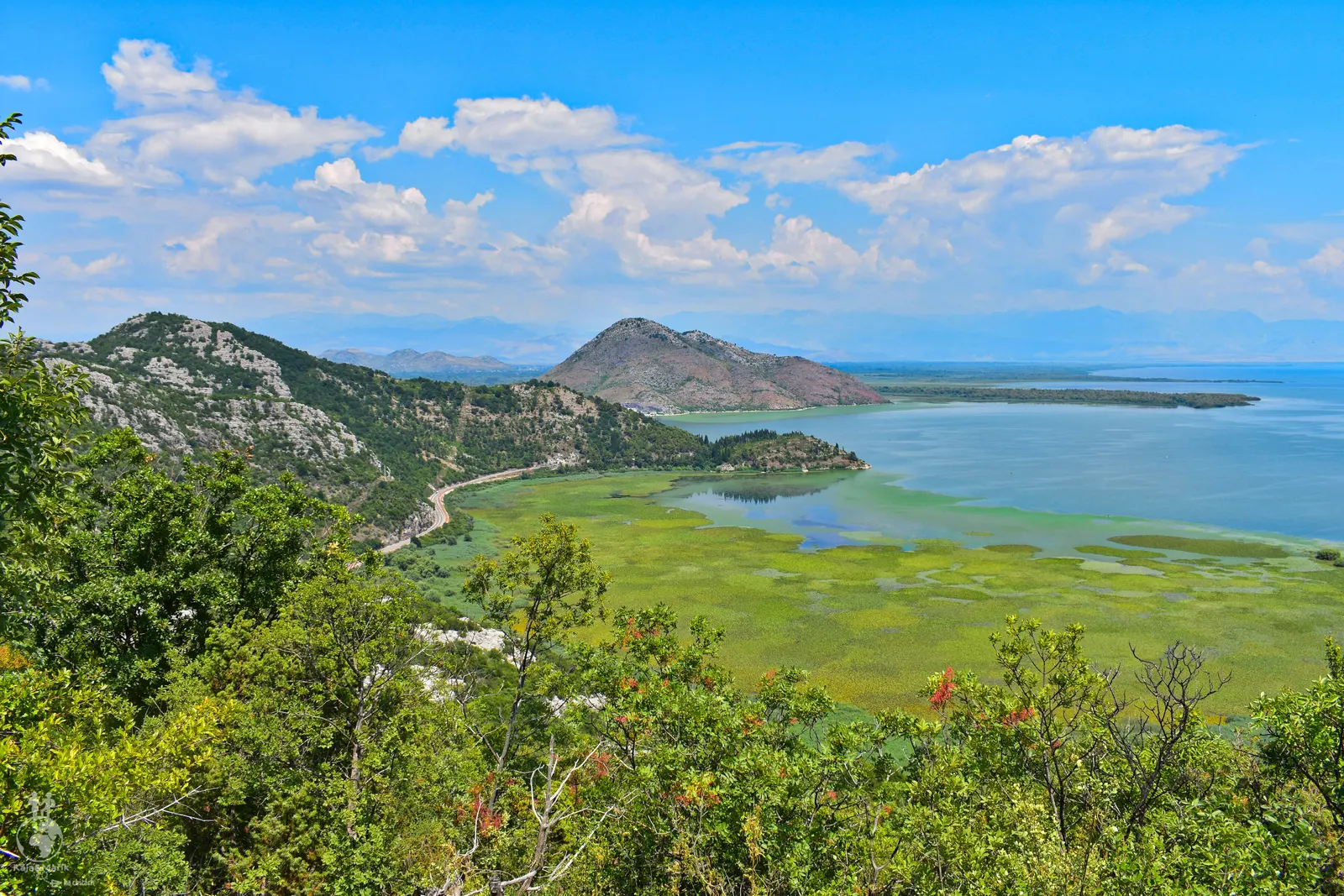 Skadarské jezero