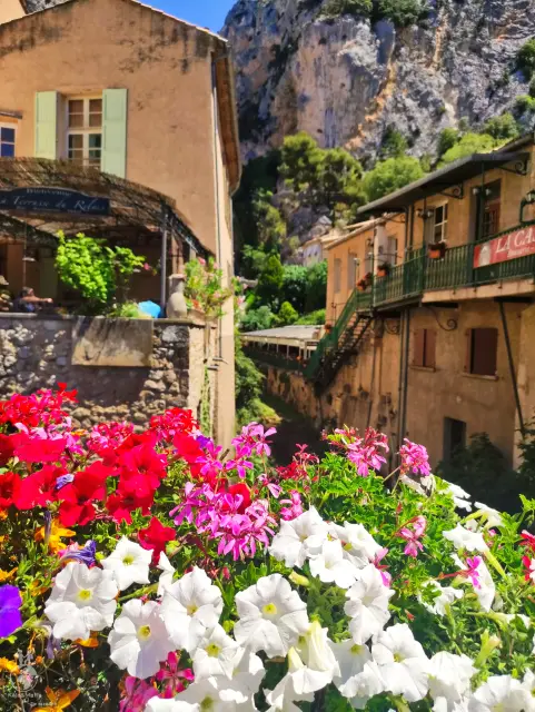 Provence – fotka 15