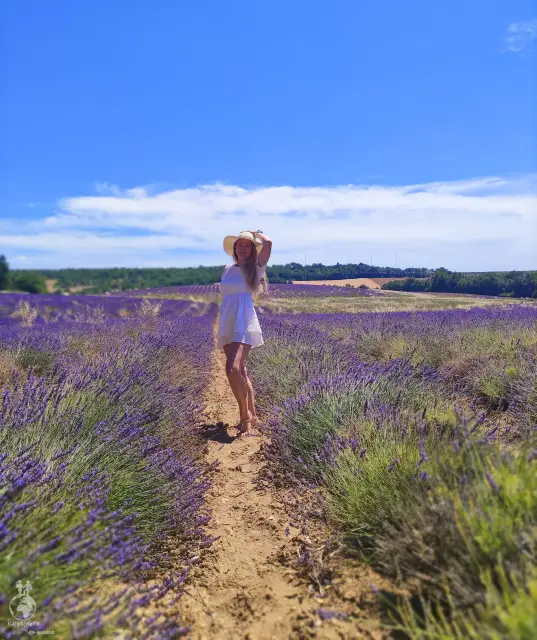 Provence – fotka 20