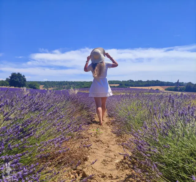 Provence – fotka 21