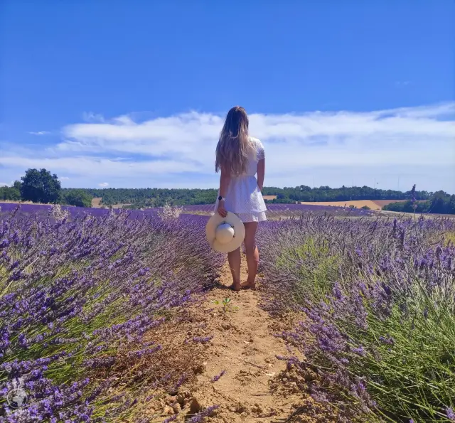 Provence – fotka 22