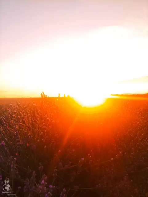 Provence – fotka 23