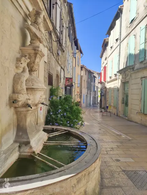 Provence – fotka 31