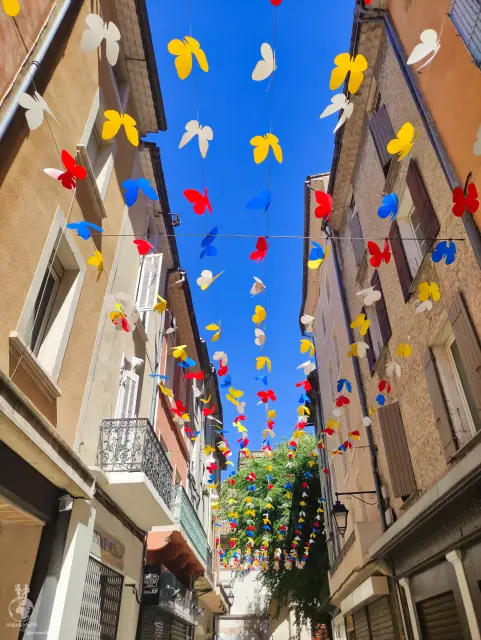 Provence – fotka 37