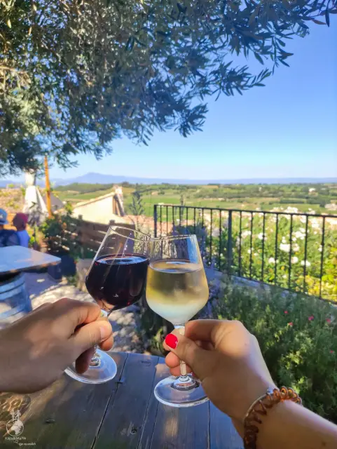 Provence – fotka 40