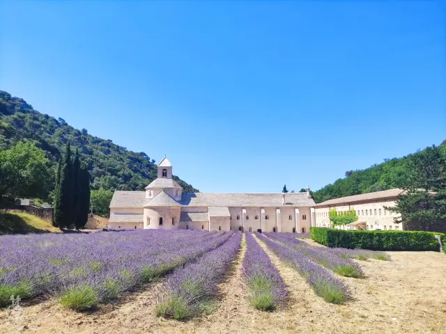 Provence – fotka 49