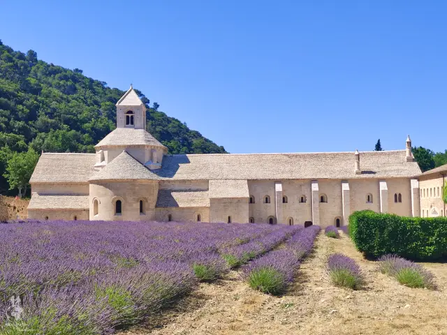 Provence – fotka 50
