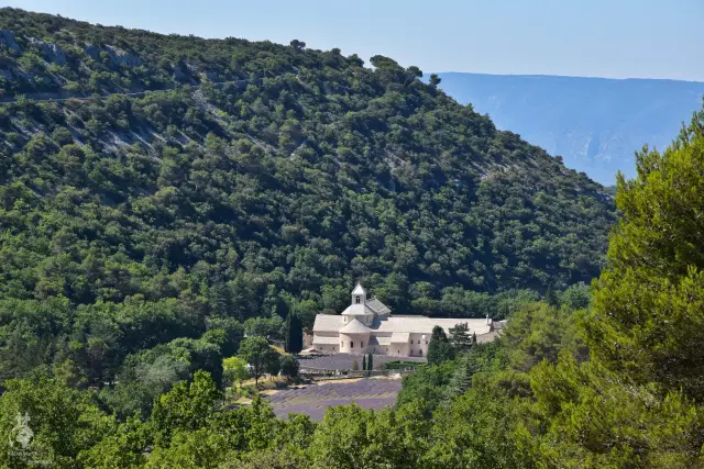 Provence – fotka 52