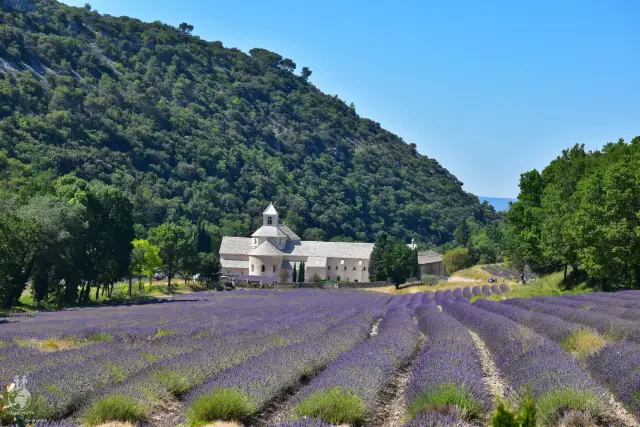 Provence – fotka 53