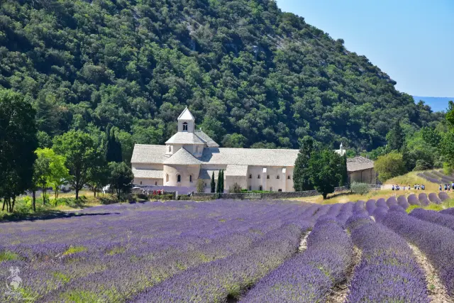 Provence – fotka 54