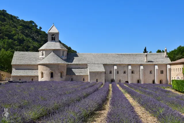 Provence – fotka 55