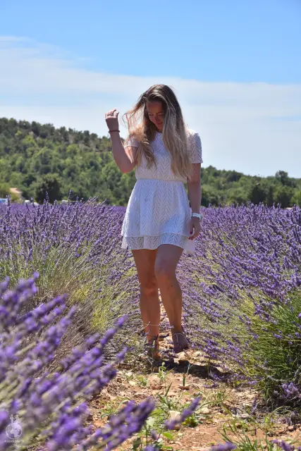 Provence – fotka 96