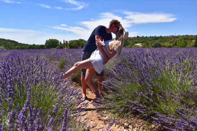 Provence – fotka 98