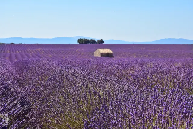 Provence – fotka 101