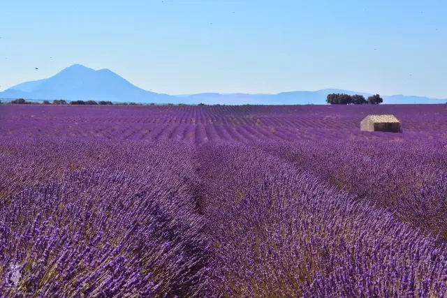 Provence – fotka 102