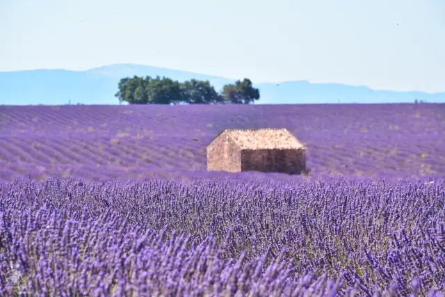 Provence – fotka 103