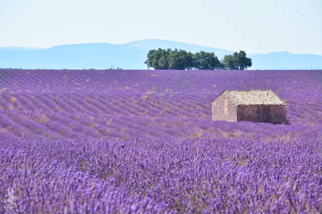 Provence – fotka 104