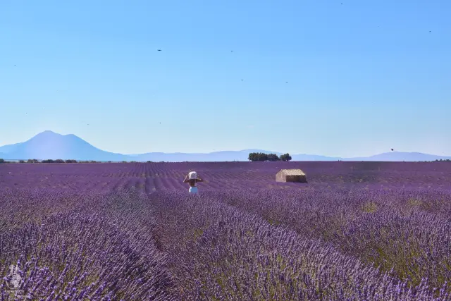 Provence – fotka 105