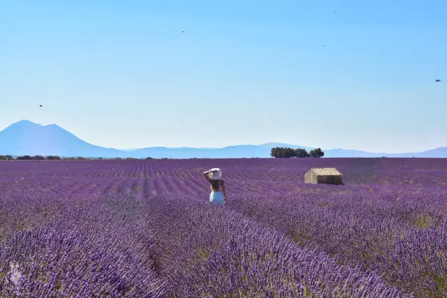 Provence – fotka 106