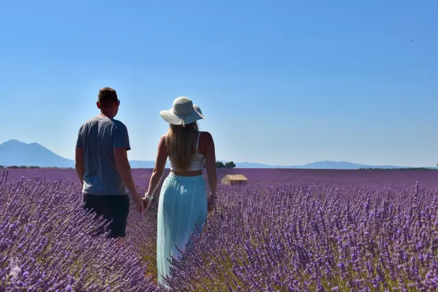Provence – fotka 108
