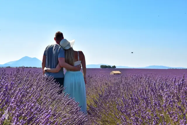 Provence – fotka 111