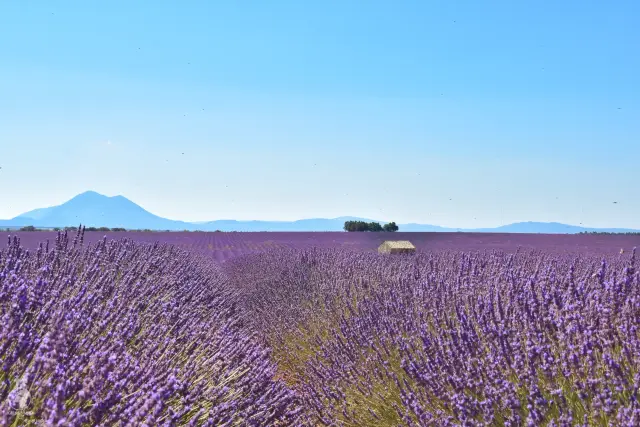 Provence – fotka 113