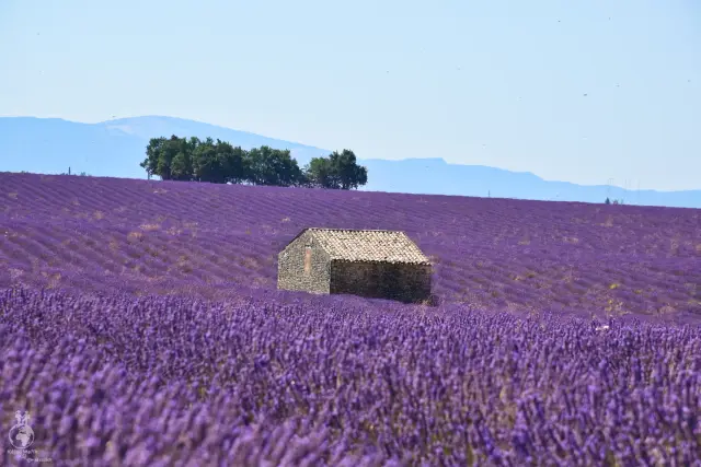 Provence – fotka 114