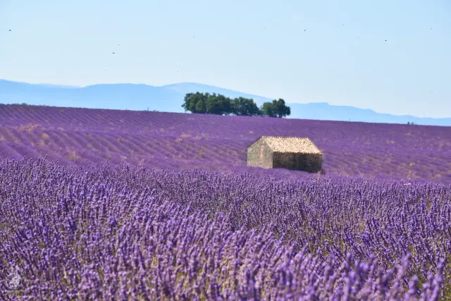 Provence – fotka 115