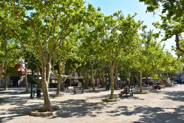 Provence – fotka 121