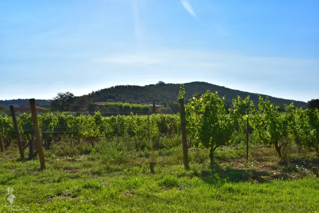 Provence – fotka 125