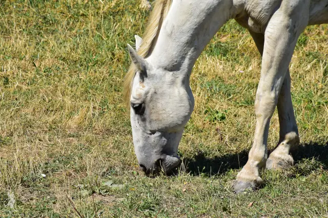Provence – fotka 138