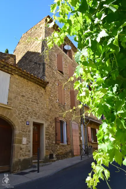 Provence – fotka 150