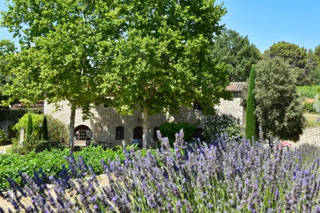 Provence – fotka 156