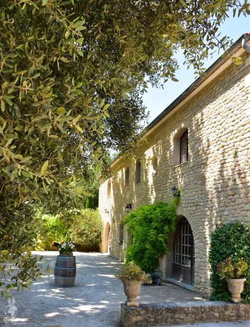 Provence – fotka 158