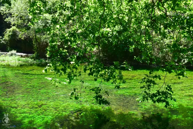 Provence – fotka 162