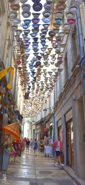 Provence – fotka 165